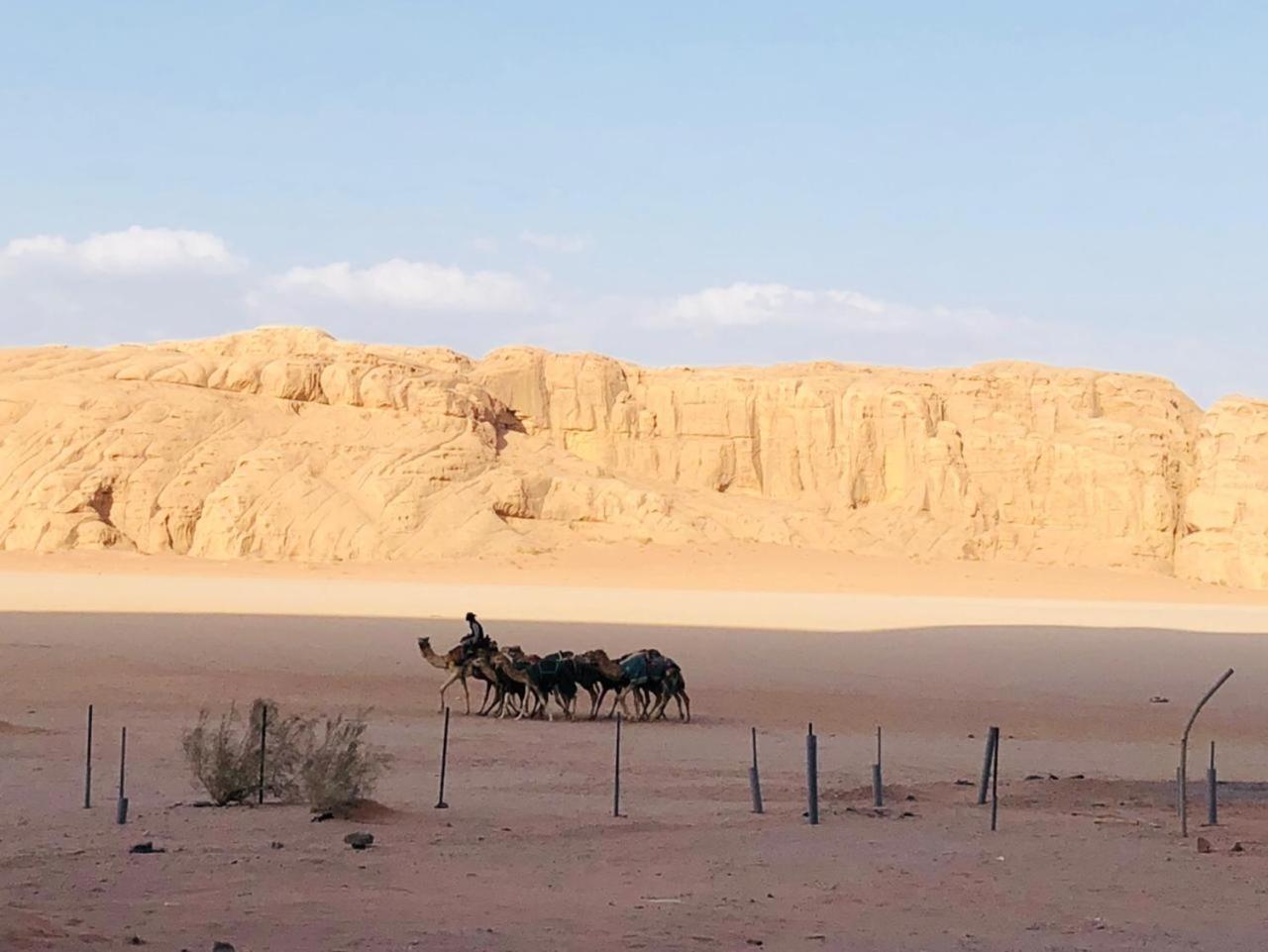 Hotel Landscape Rum Camp Wadi Rum Esterno foto